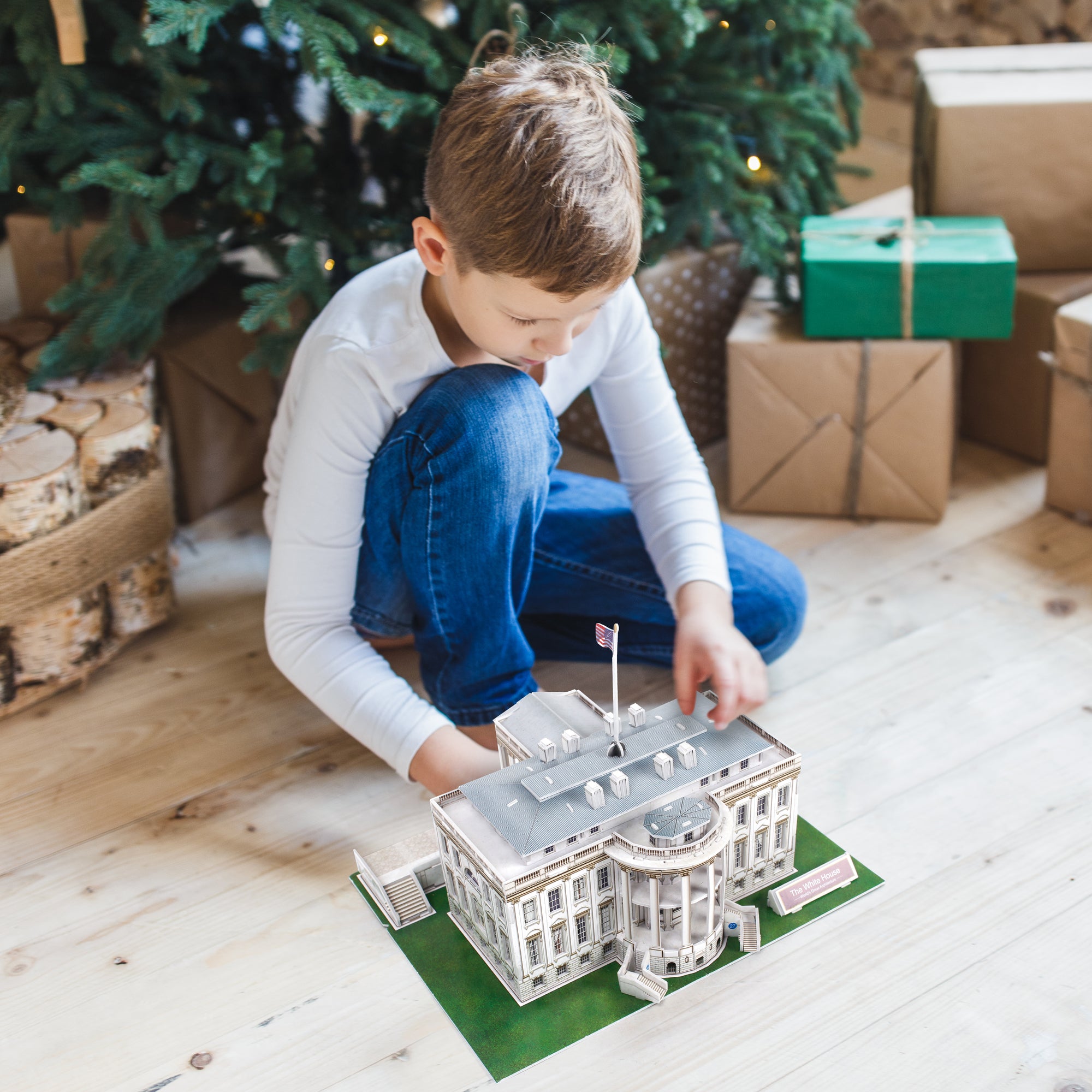 3d Puzzle The White House