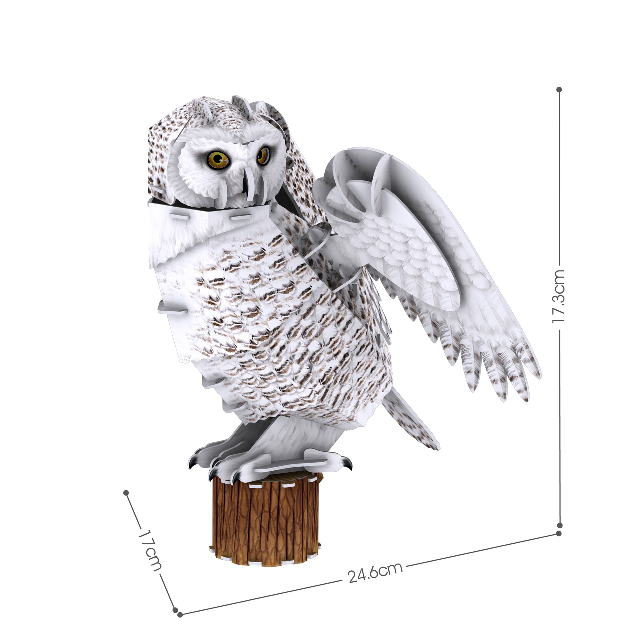 Snowy Owl
(62 pcs.)
