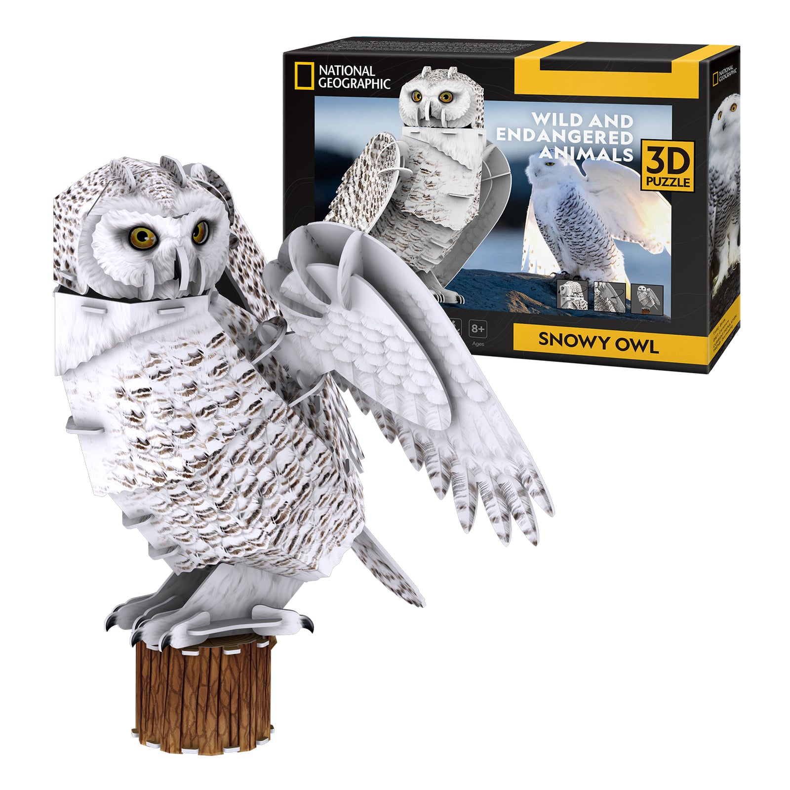 Snowy Owl
 (62 pcs.)