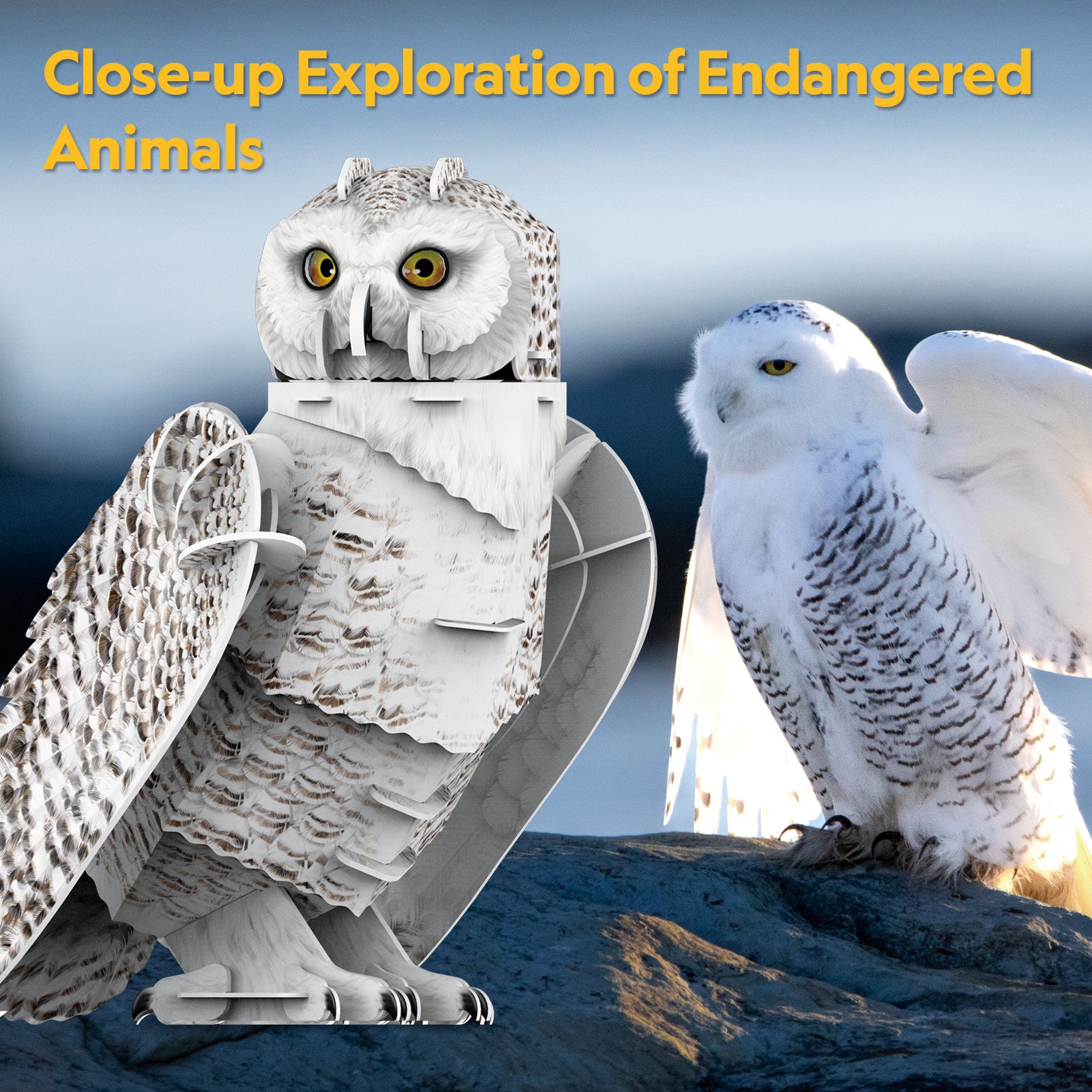 Snowy Owl
(62 pcs.)