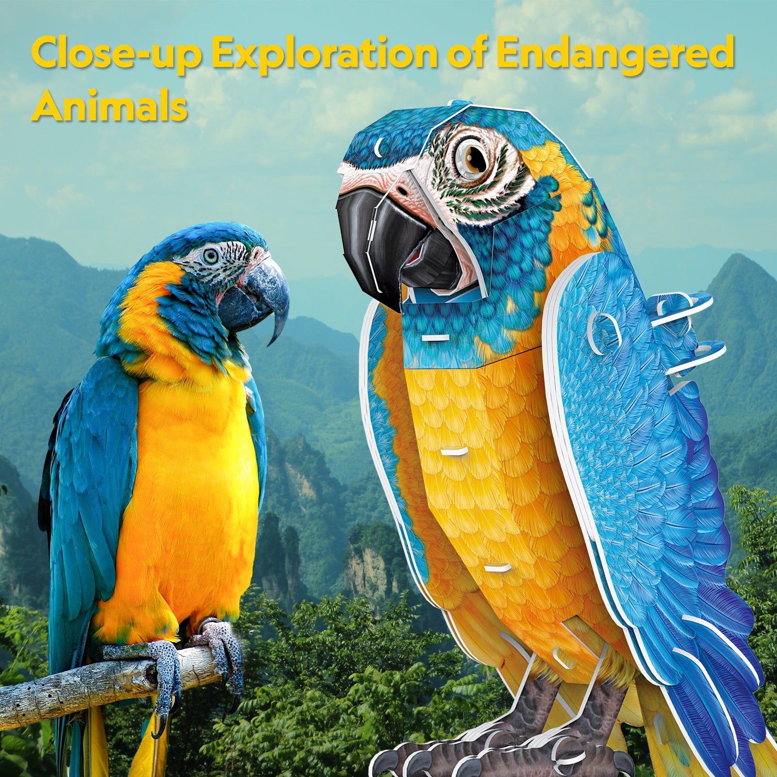 Bule - Throated Macaws
 (94 pcs.)