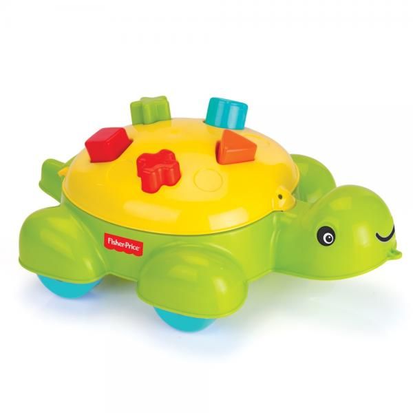 Turtle Shape Sorter