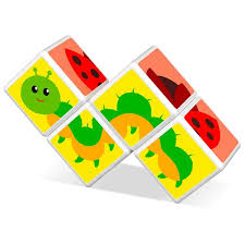 Geomag Educational Magicube Printed Insects + Cards 7