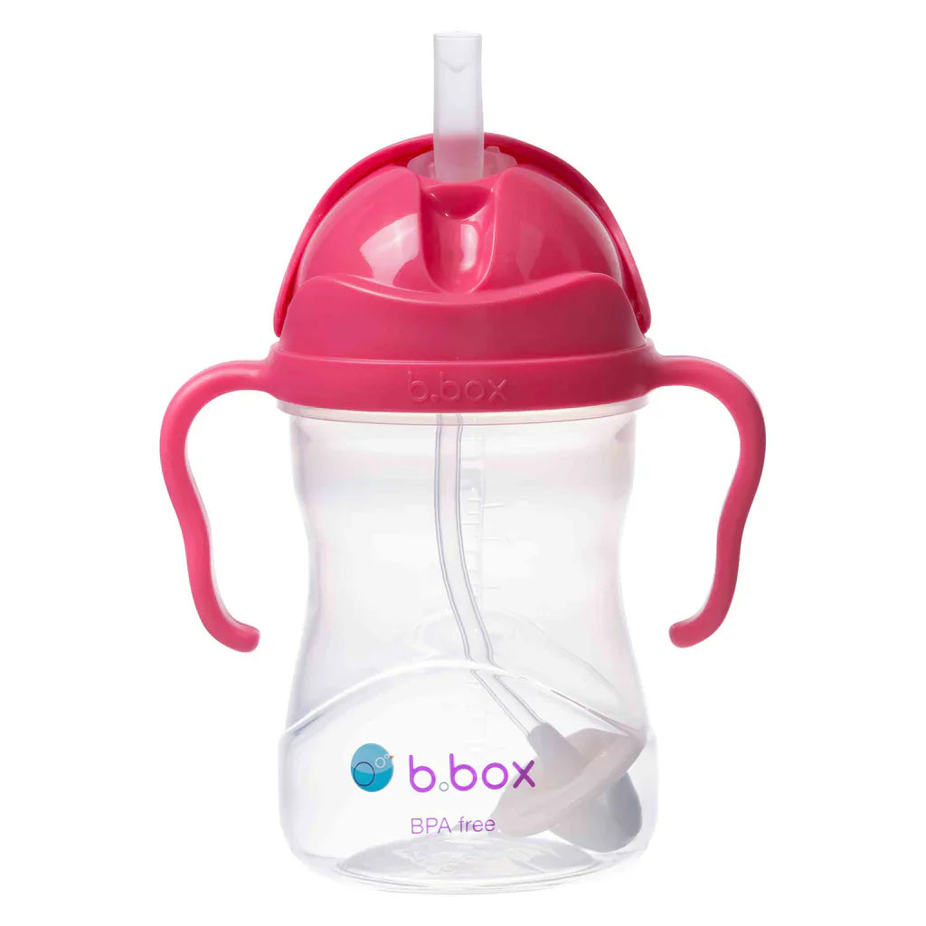 sippy cup - raspberry