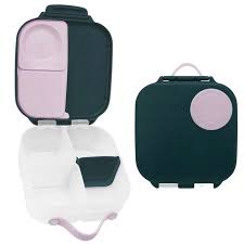 Mini Lunchbox - Indigo Rose