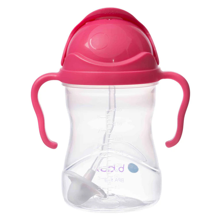 sippy cup - raspberry