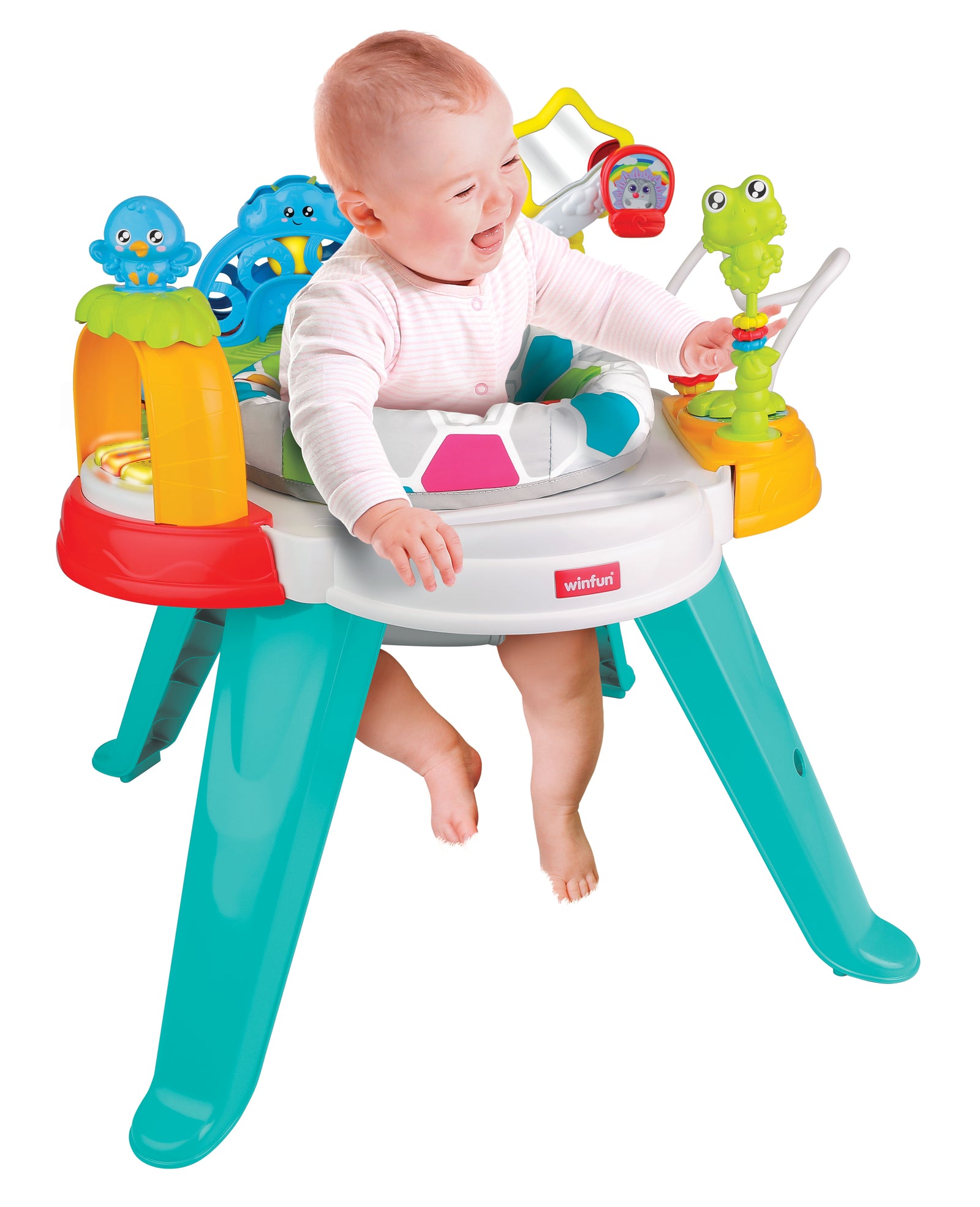 Baby Move Activity Center