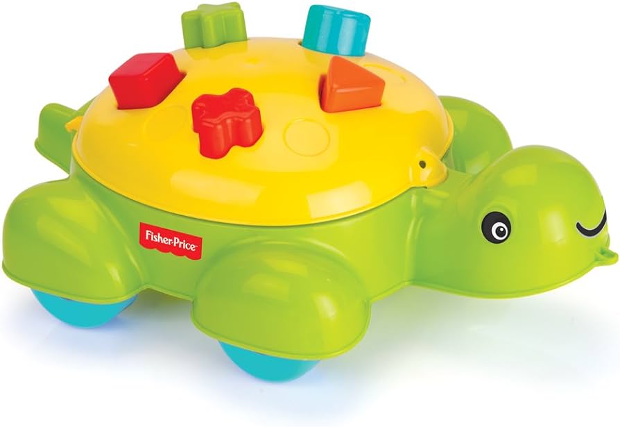 FP TURTLE SHAPE SORTER 1 PCS