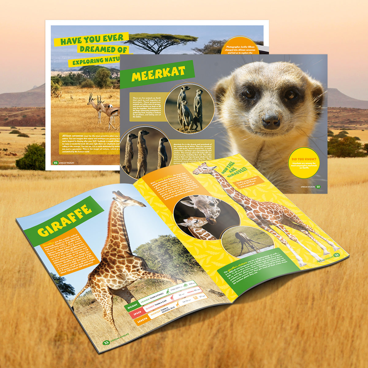 3d Puzzle African Wildlife