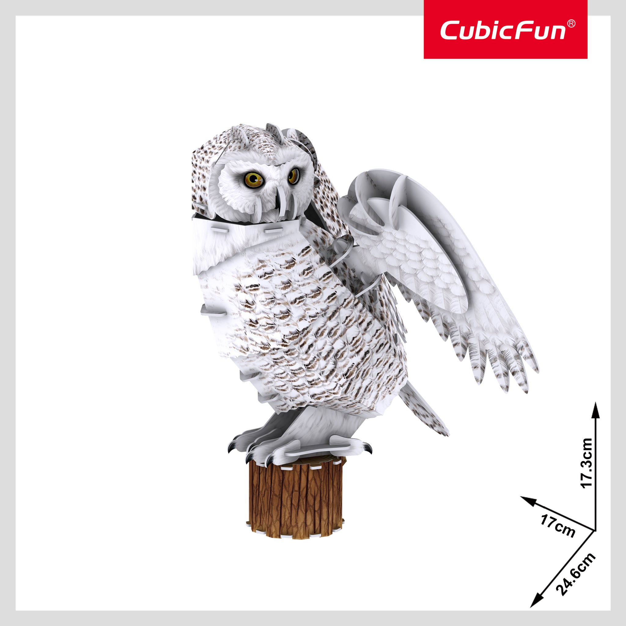 Snowy Owl
 (62 pcs.)