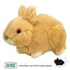 Baby Rabbit