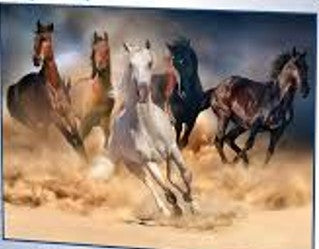 Wild Horses Educational PUZZLE 1000