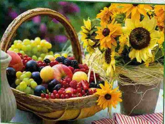 Fruit and Sunflower Educational PUZZLE 1000