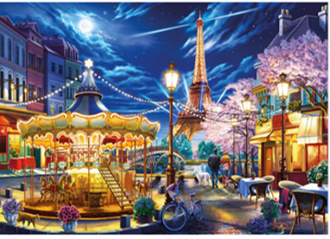 Night Lights Of Paris Educational PUZZLE