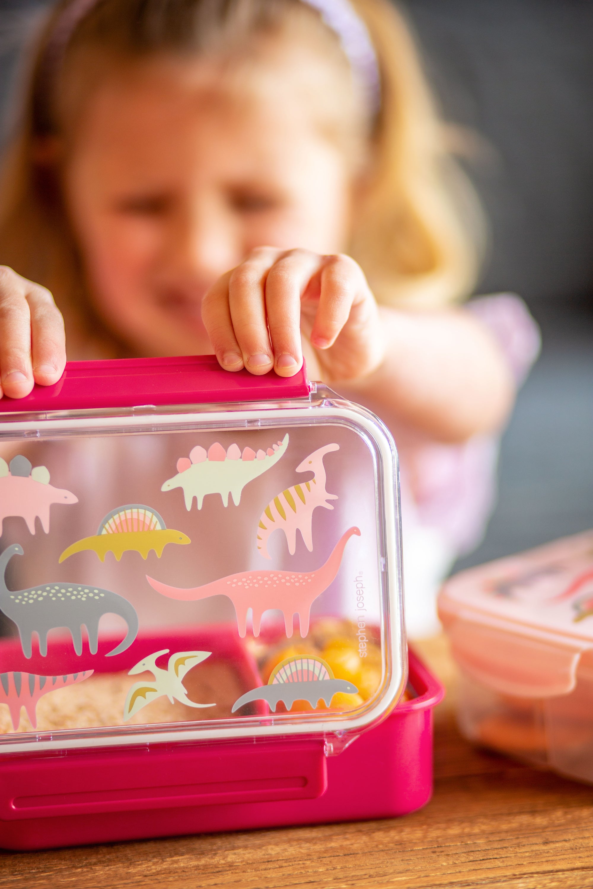 Bento Boxes Pink Dino(f18)