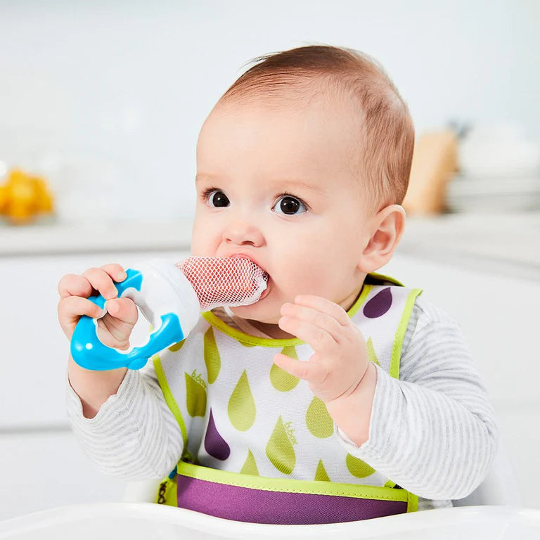 fresh food feeder - blueberry