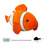 Clown Fish