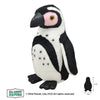 Cape Penguin