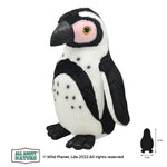 Cape Penguin