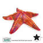 Starfish