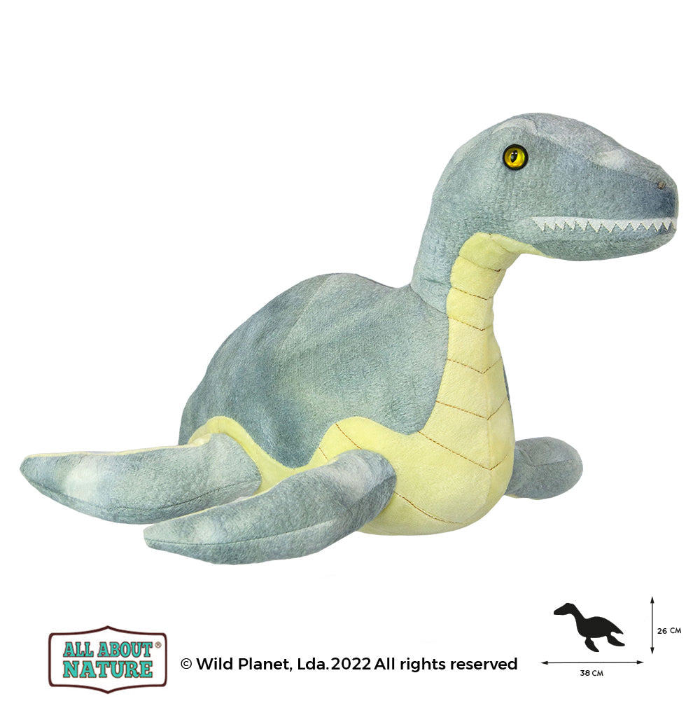 Plesiosaur